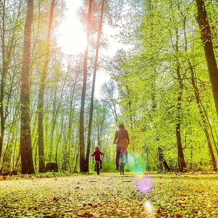 Bungis - 28 Ferienhaeuser Am Grimnitzsee G4 * Joachimsthal